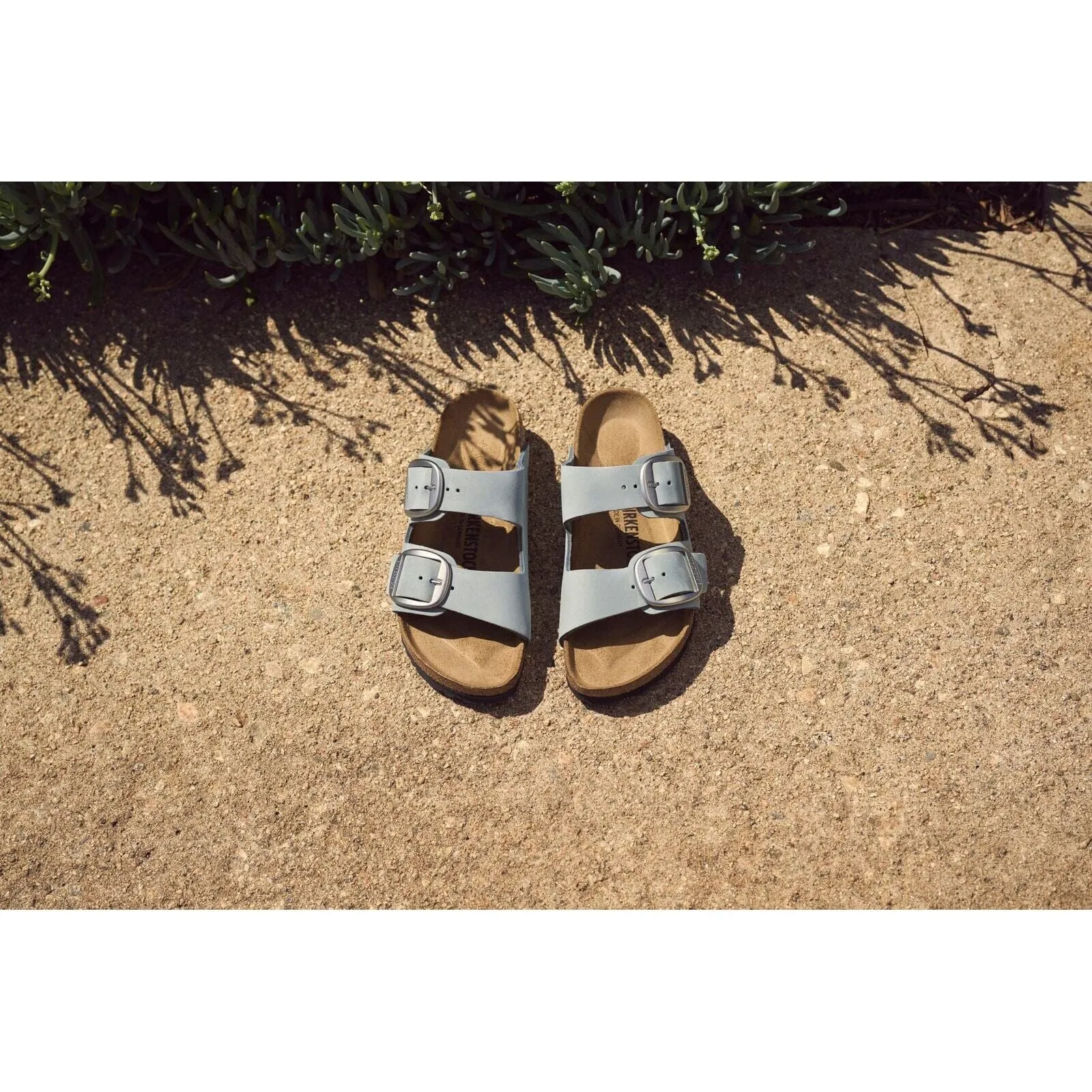 BIRKENSTOCK ARIZONA BIG BUCKLE