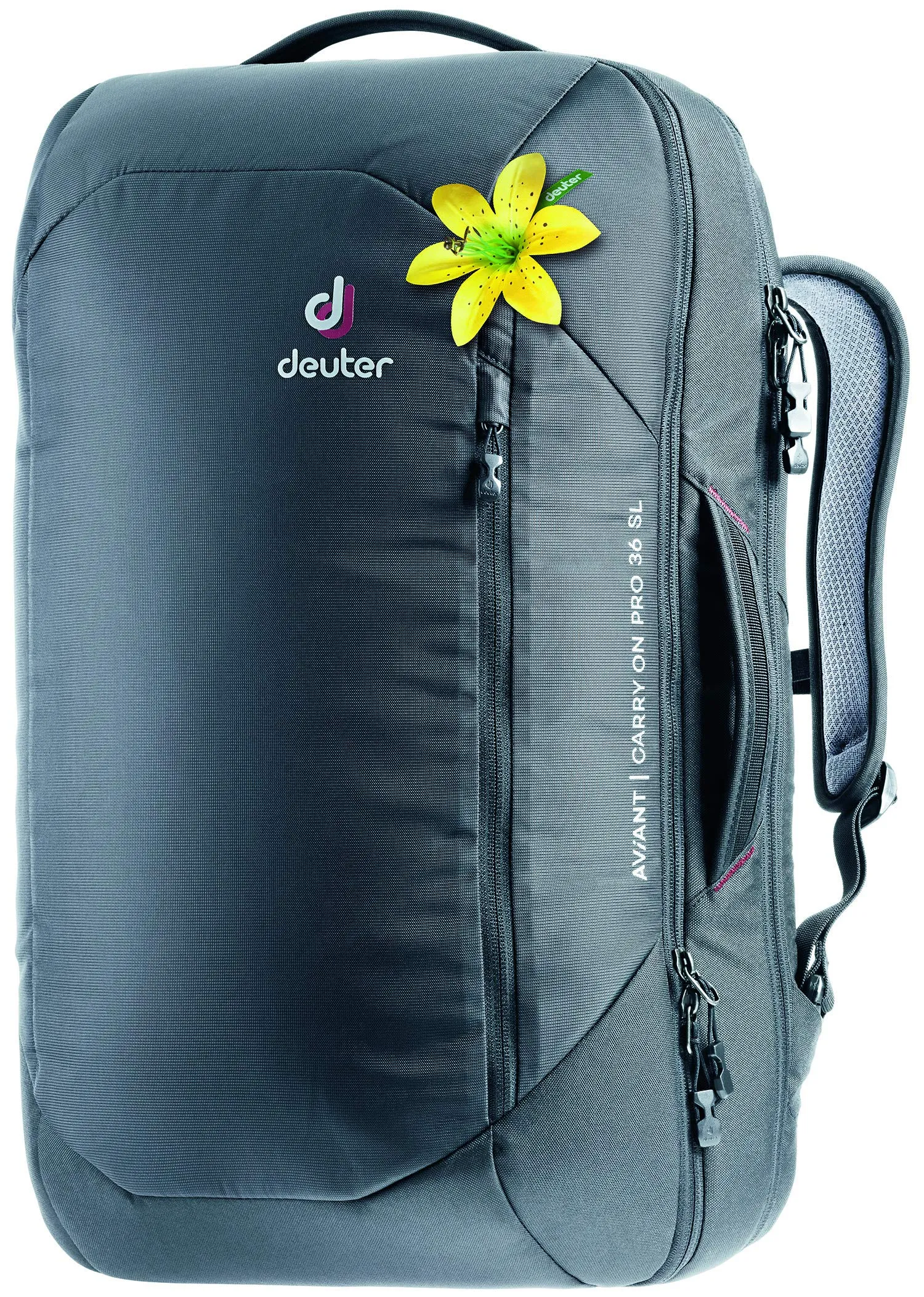 Deuter Aviant Carry On Pro 36 SL Bags Deuter