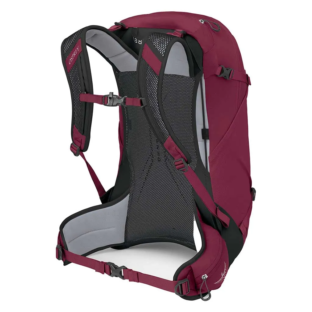 Hikelite 28 Osprey Bags