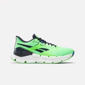 Reebok Shoes Men's FloatZig Symmetros Shoes
