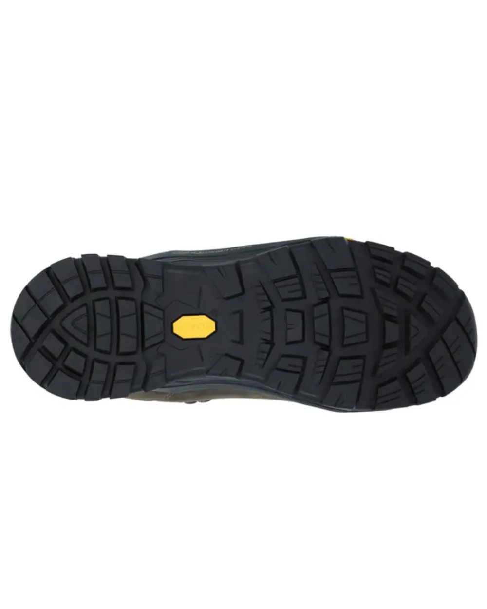Shoes Hi-Tec Hi-Tec Altitude Pro RGS Leather Boots