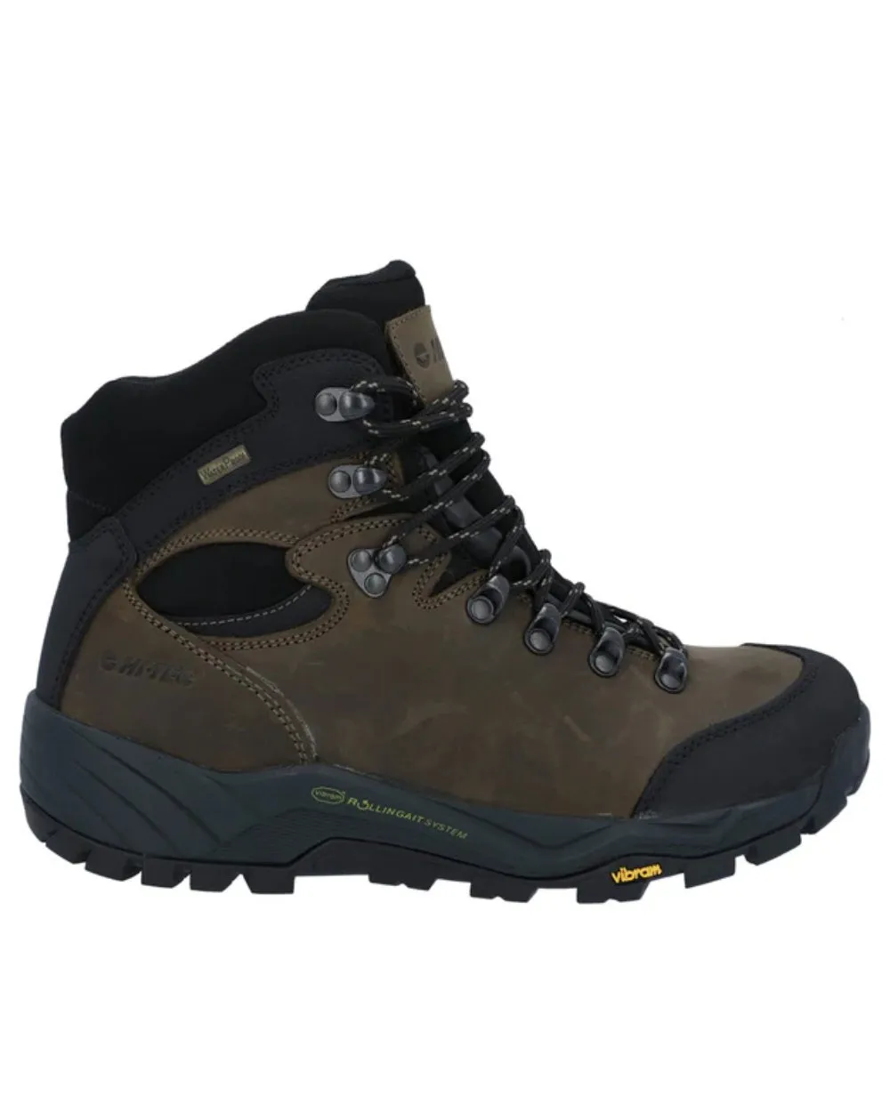 Shoes Hi-Tec Hi-Tec Altitude Pro RGS Leather Boots